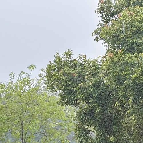 清明罗浮山小记